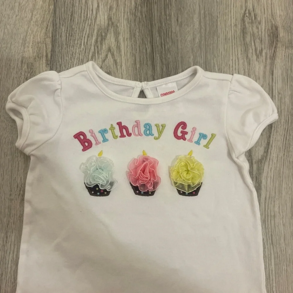 Gymboree Birthday Girl 18-24 Months Outfit